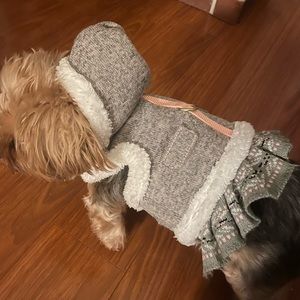 Small Coat for Dog with Sherpa Lining
